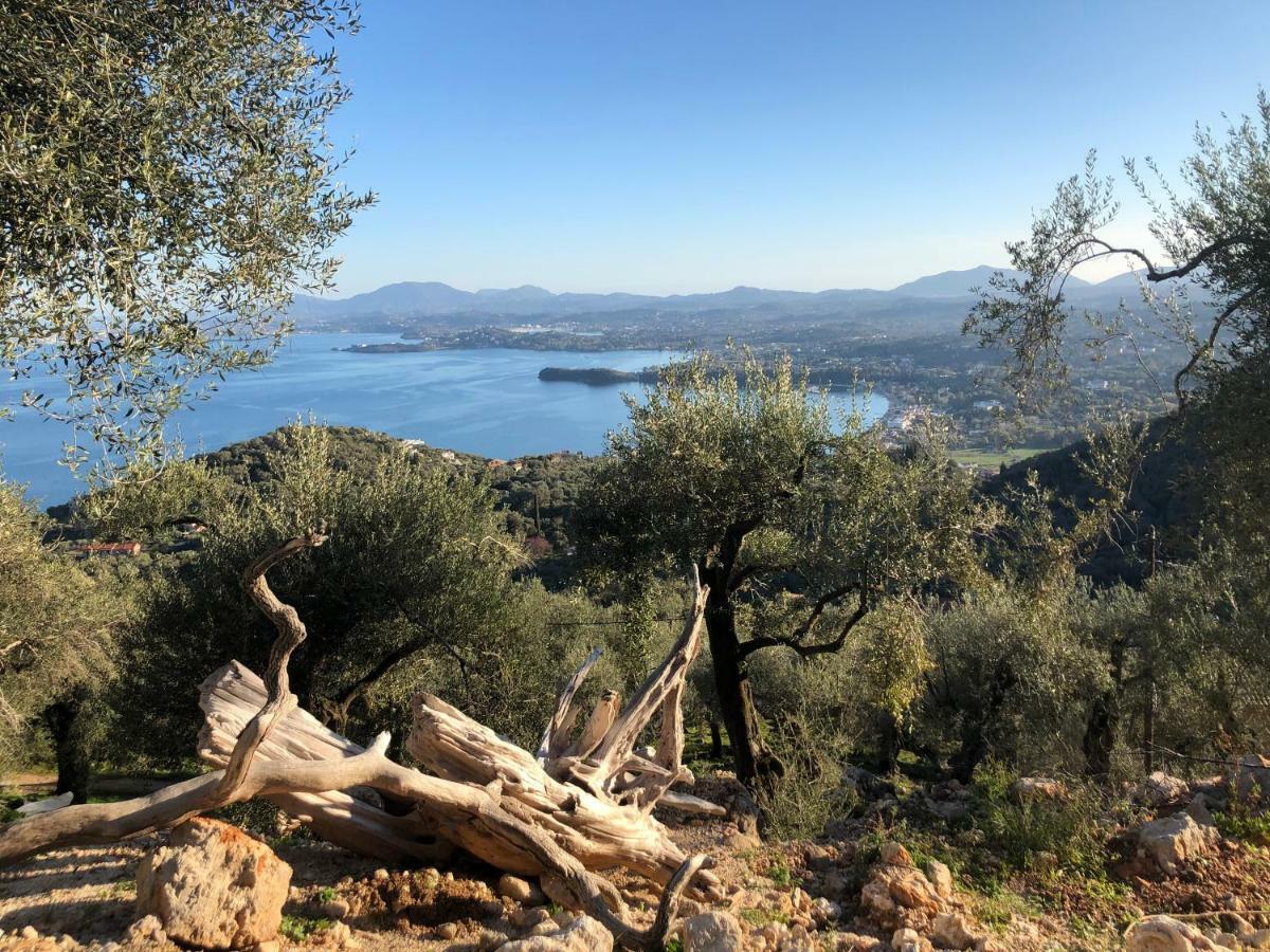 House Tanna Of Villa Intaba Spectacular Sea Views Corfiot Riviera Spartilas Corfu Island Greece Close To Ipsos Beach Spartylas 外观 照片